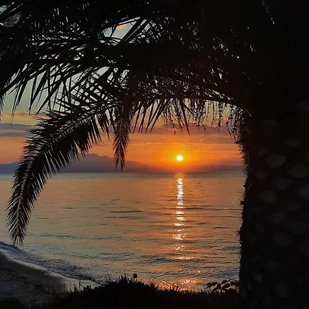 Golden Sunset 2*
